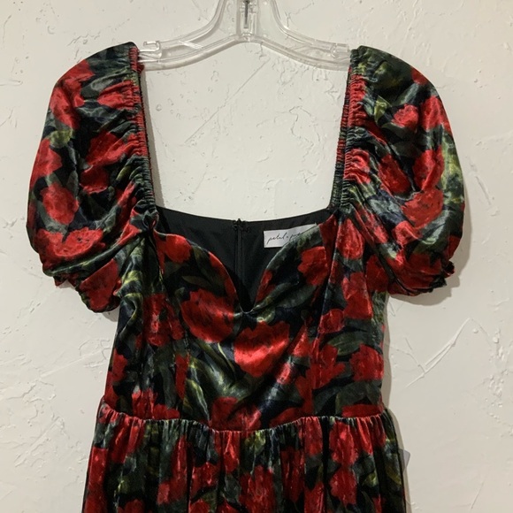 Petal & Pup Anders Floral Burnout Velvet Minidress Black Red Sz Small - Picture 4 of 14